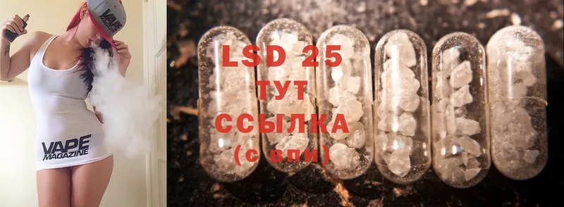 KRAKEN ТОР  Жердевка  LSD-25 экстази кислота 